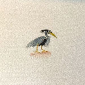PIMSKIN: The Heron
