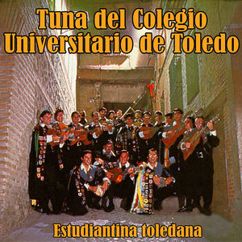 Tuna del Colegio Universitario de Toledo: Dama de España