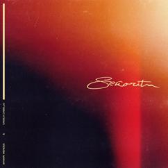 Shawn Mendes: Señorita
