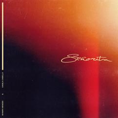 Shawn Mendes, Camila Cabello: Señorita