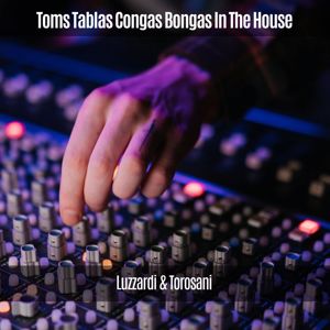 Luzzardi & Torosani: Toms Tablas Congas Bongas in the House