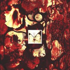 YEBASHINII: Звезды