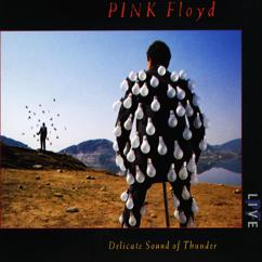 Pink Floyd: On the Turning Away
