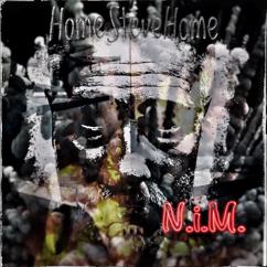 HomeSteveHome: N.i.M.