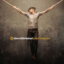 David Bisbal: Que Tendrás (Album Version) (Que Tendrás)