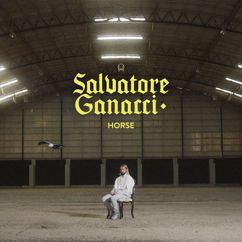 Salvatore Ganacci: Horse
