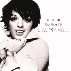 Liza Minnelli: The Singer