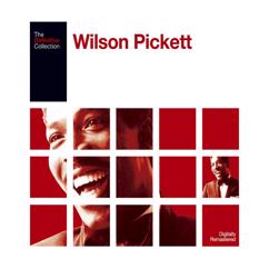 Wilson Pickett: Jealous Love (2006 Remaster; Single Version)