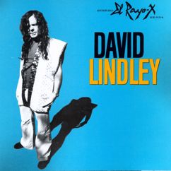 David Lindley: Mercury Blues