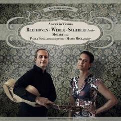 Marco Minà & Paola Bono: Don Giovanni K 527: Atto II. "Vedrai carino" (Transcription for Guitar and Voice)