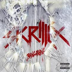 Skrillex, The Doors: Breakn' a Sweat