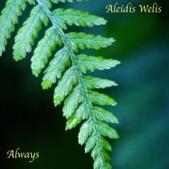 Aleidis Welis: Chasing Highs