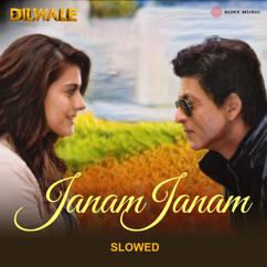 Mirshad Bin Moideen, Pritam, Arijit Singh & Antara Mitra: Janam Janam (Slowed)