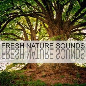 Nature Sounds: Fresh Nature Sounds