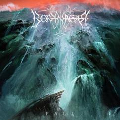 Borknagar: The Wild Lingers