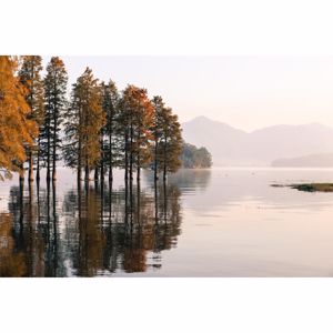 AMLYLY: A Heartfelt Encouragement