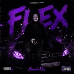 Alexandr Mers: Flex
