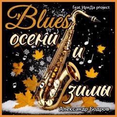 Александр Бодров, ИриДа project: Недолгая зима