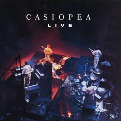 CASIOPEA: Down Upbeat (Live at The Ryogoku Kokugikan Tokyo, April 1985)