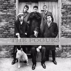 The Pogues: Poor Paddy On The Railway (The David 'Kid' Jensen Show, July 1984, Live)