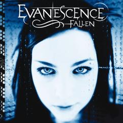 Evanescence: Taking Over Me