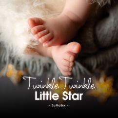 LalaTv: Twinkle Twinkle Little Star