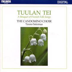 The Candomino Choir: Trad : Iltalaulu [Evening Song]