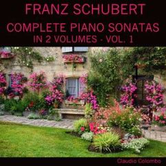 Claudio Colombo: Piano Sonata in F Minor, D. 625: III. Allegretto