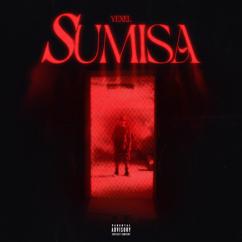 Yexel: SUMISA