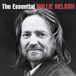 Willie Nelson: The Party's Over