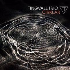Tingvall Trio: Bland Molnen