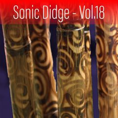 Ash Dargan: Sonic Didge, Vol. 18