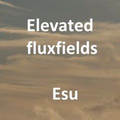 Elevated Fluxfields: Esu (Version 4)
