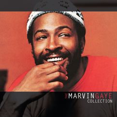 Marvin Gaye: Trouble Man