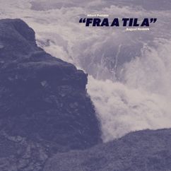 Albert Preisler: Fra A til A