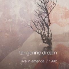 Tangerine Dream: Two Bunch Palms (Live)