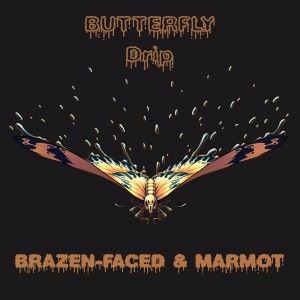 Brazen-Faced & Marmot: Butterfly Drip