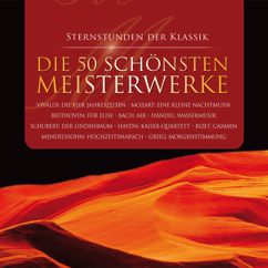 Dresdner Barocksolisten, Eckart Haupt: Flute Concerto in E Minor: II. Andante