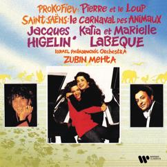 Zubin Mehta: Saint-Saëns: The Carnival of the Animals, R. 125: XI. Pianists