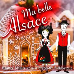 Walter Müller et Son Orchestre Folklorique: Montagnes d'Alsace