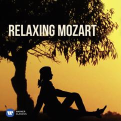 Christopher Warren-Green, Michael Thompson: Mozart: Sinfonia concertante for Oboe, Clarinet, Horn and Bassoon in E-Flat Major, K. 297b: II. Adagio
