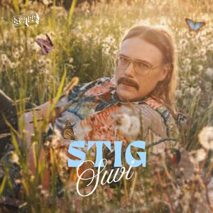 STIG: Suvi