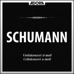Sinfonieorchester Radio Luxemburg, Pierre Cao, Susanne Lautenbacher: Violinkonzert in D Minor: I. Mit kräftigen, nicht zu schnellem Tempo