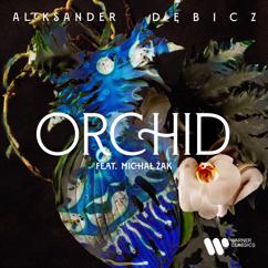 Aleksander Dębicz: Orchid