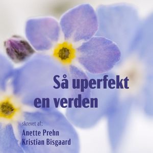 Kristian Bisgaard: Så uperfekt en verden