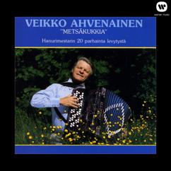 Veikko Ahvenainen: Rantakoivun alla
