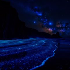 Relaxed Mind: Meditative Flow