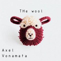 Axel Vonamata: More