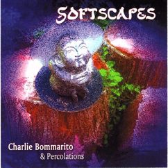 Charlie Bommarito: Softscapes