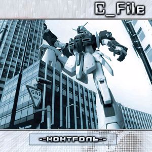 C_File: Контроль